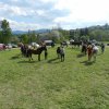 Rajd Mszana Górna 2015